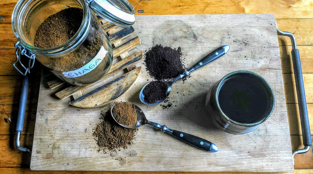Chaga mushrooms padenstoelen adaptogens superfoods focus lions mane