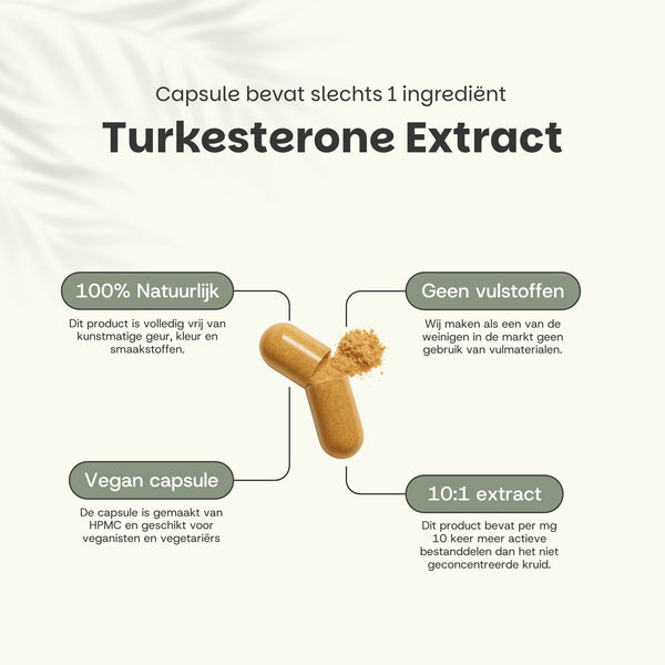 Turkesteron Kapseln 500 mg
