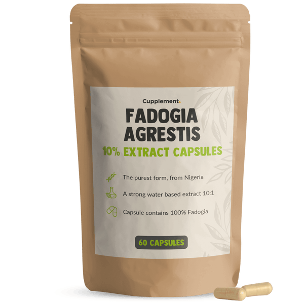 Fadogia Agrestis 100mg capsules packshot front Cupplement Superfood Supplement