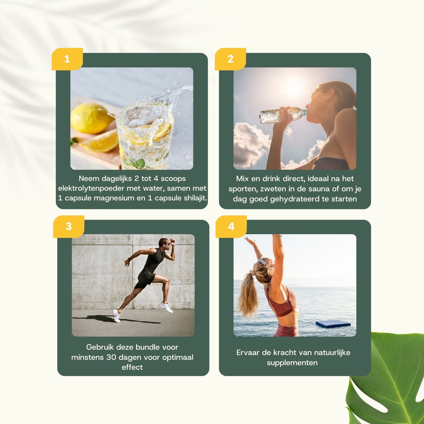 Natürliches Ausdauer-Paket