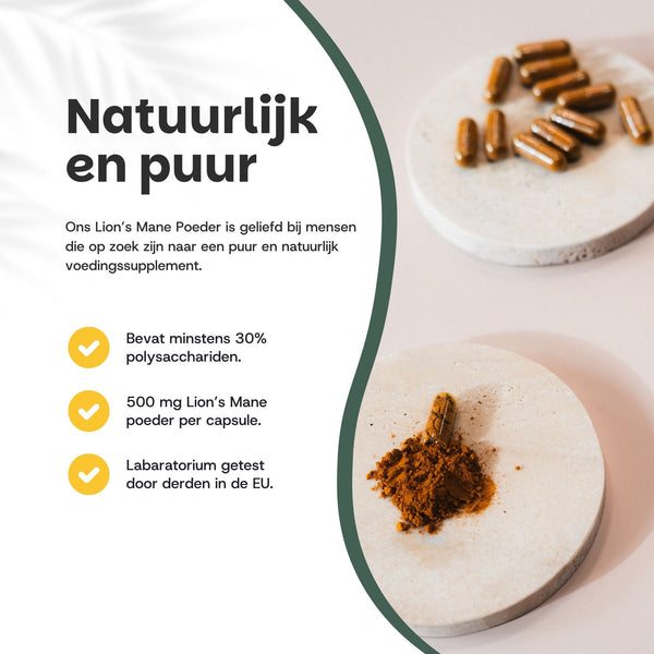 Lion's Mane Capsules 500 mg Biologisch