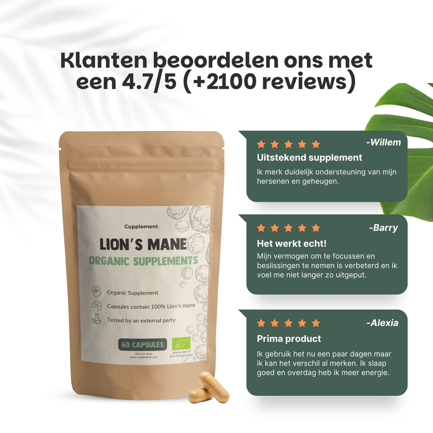 Lion's Mane Capsules 500 mg Biologisch