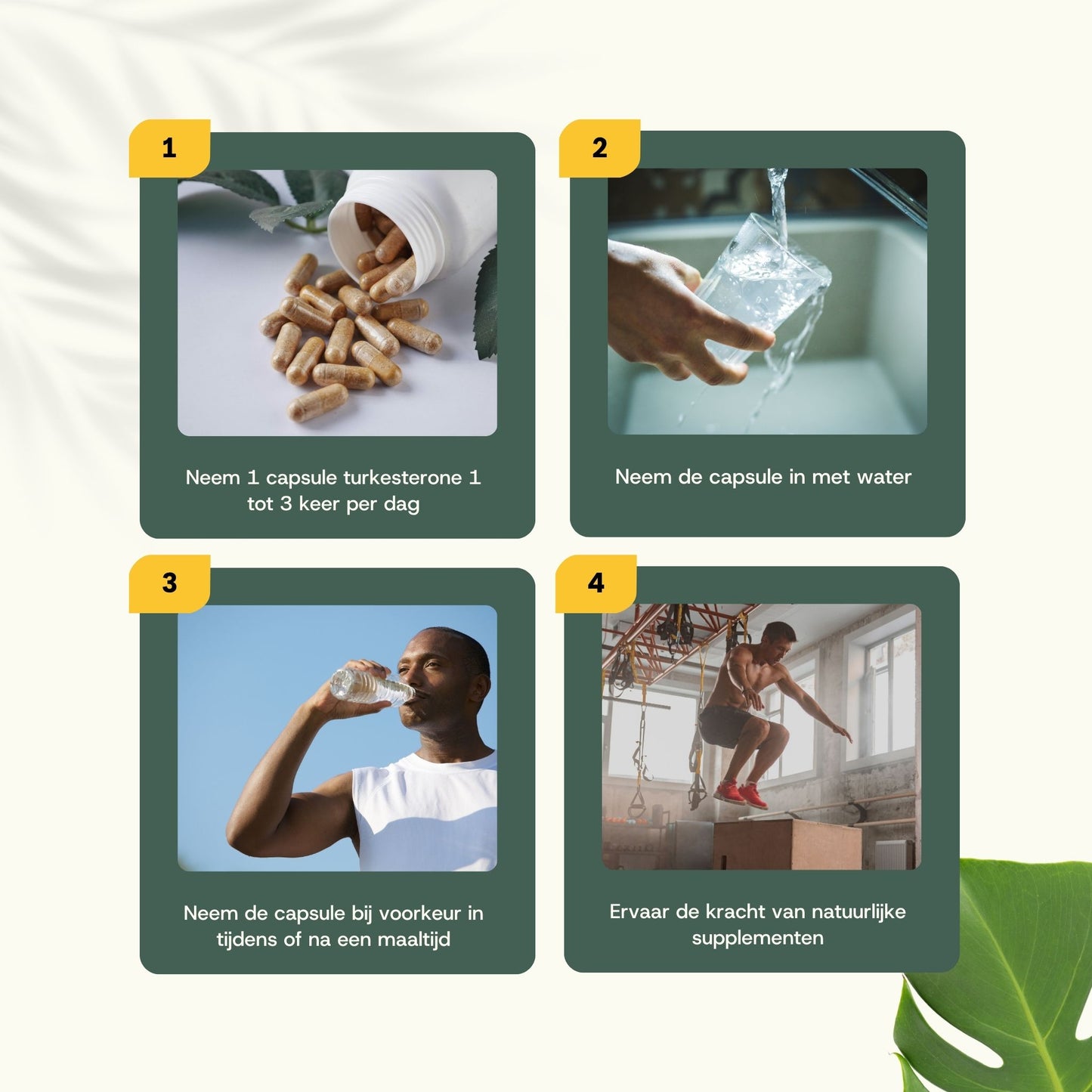 Turkesterone caspules goyu superfood supplement