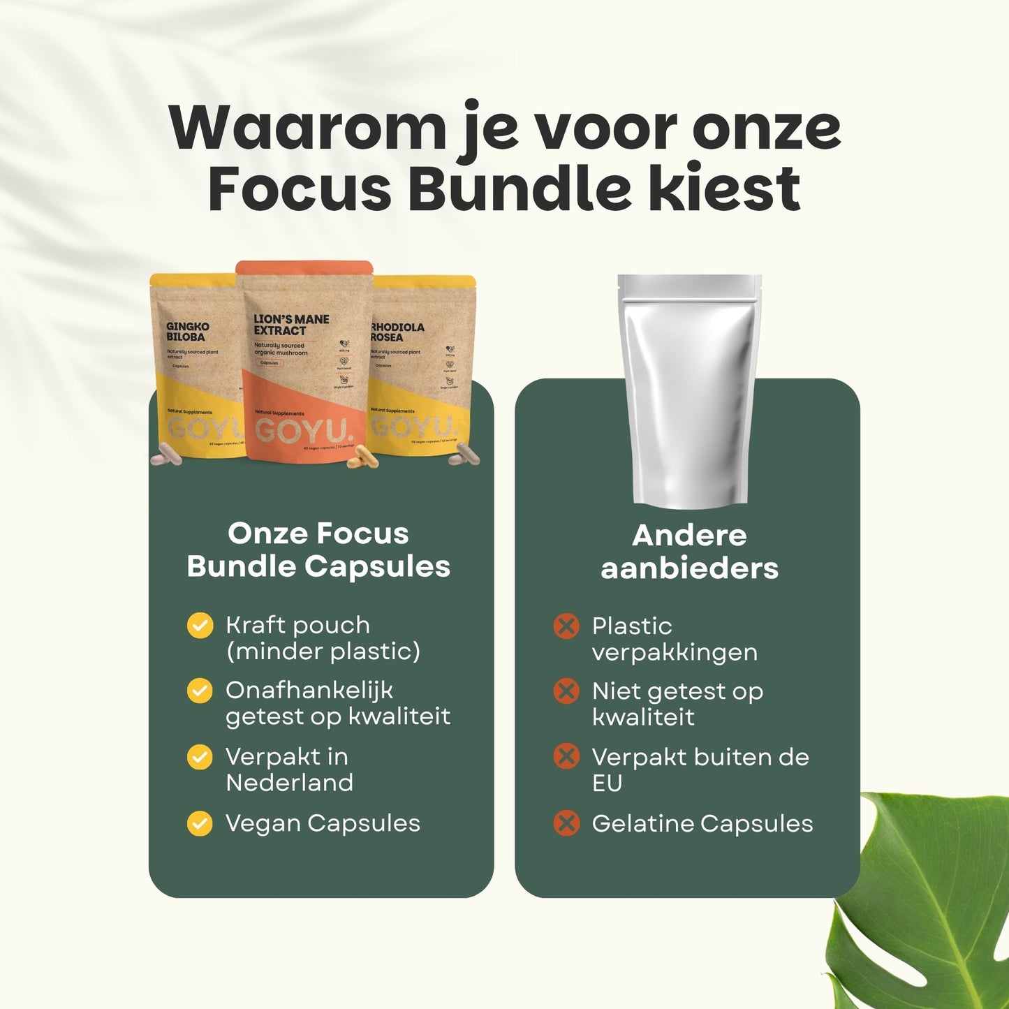Natural Clear Focus Bundle