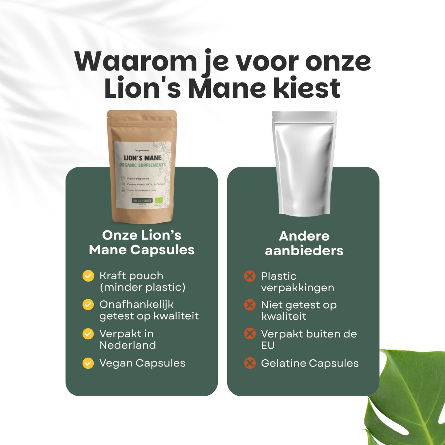 Lion's Mane Capsules 500 mg Biologisch