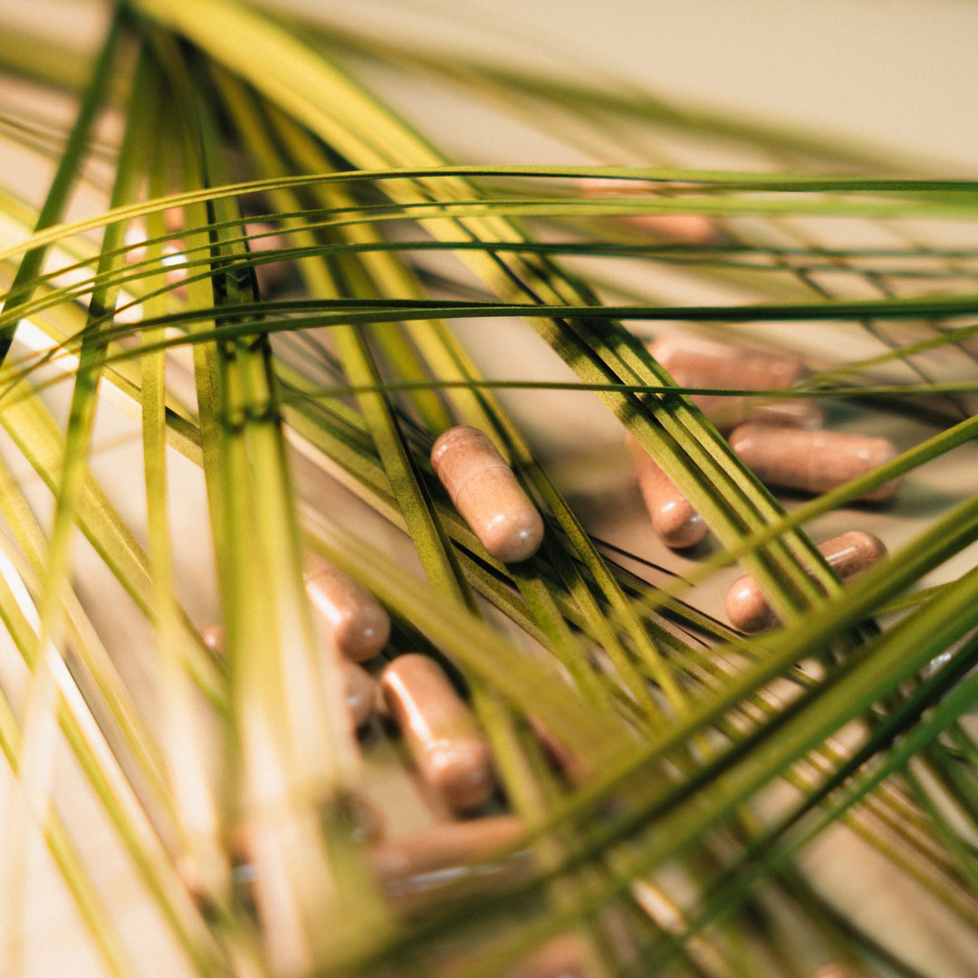 Sea Moss Gel vs. Capsules: Wat is de beste keuze?