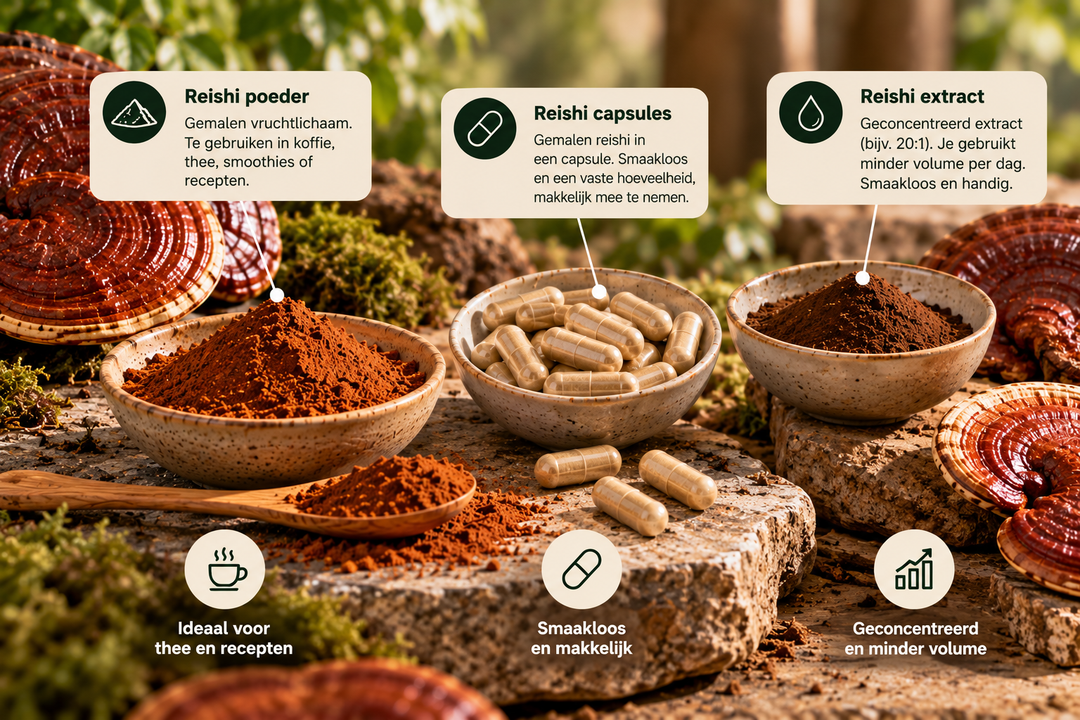Reishi poeder, capsules of extract: welke kies je?