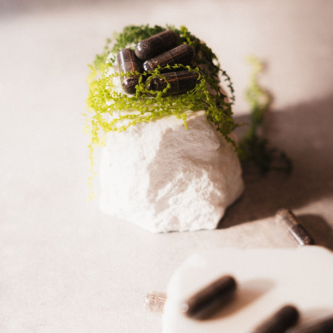 Sea Moss Gids: Alles over de Voordelen, Werking en Gebruik