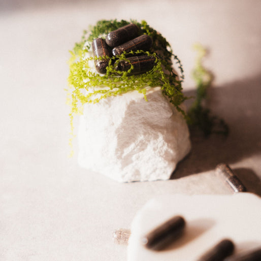 Sea Moss Gids: Alles over de Voordelen, Werking en Gebruik