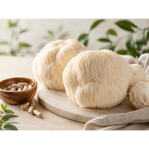 Wat is de werking van Lion's Mane? Onderzoek en feiten over de pruikzwam