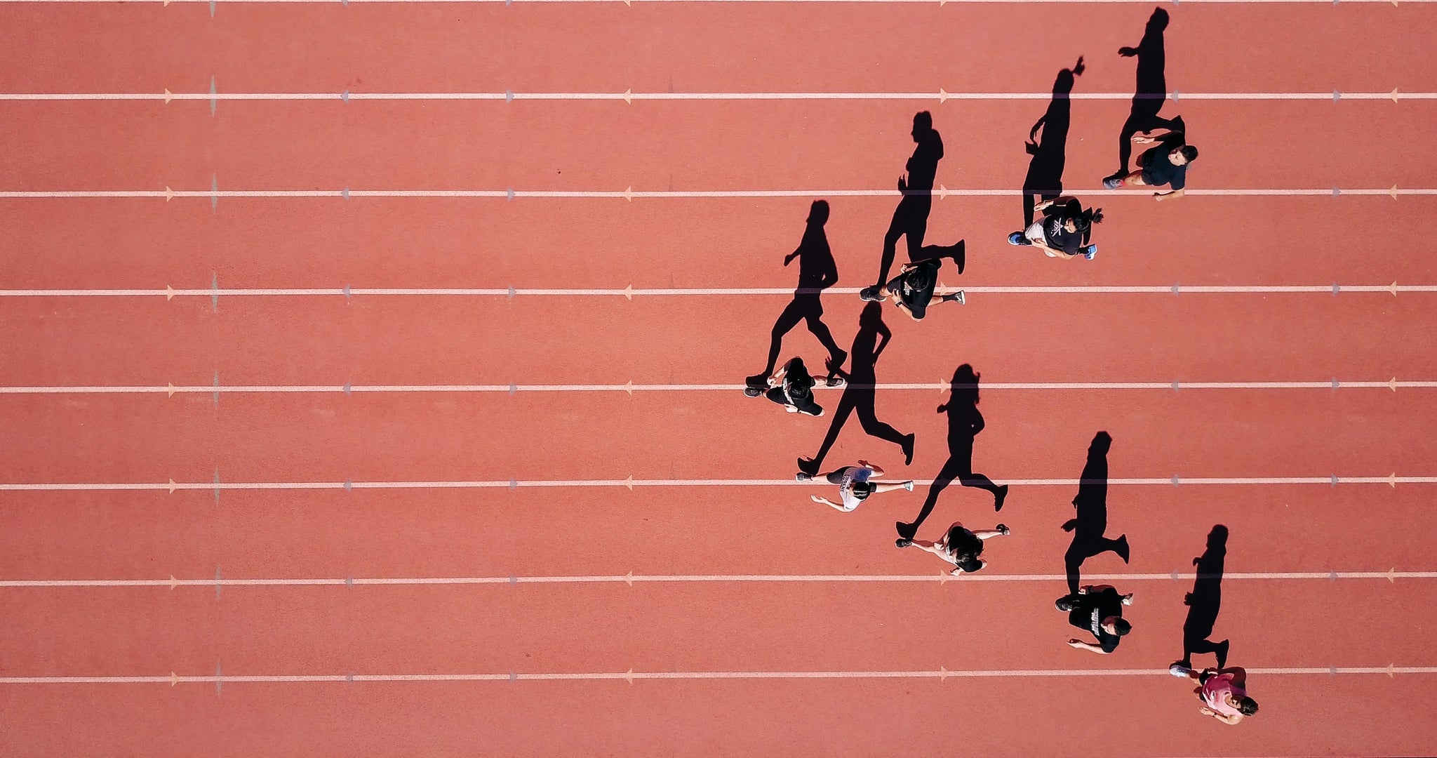 De top 3 Nootropics voor het sporten. Nootropics helpen je het maximale uit jezelf te halen. Dit is natuurlijk super belangrijk wanneer je een goede sportsessie hardlopen, fitnessen of fietsen carnetine, Rhodiola Rosea en cafeïne  L-theanine