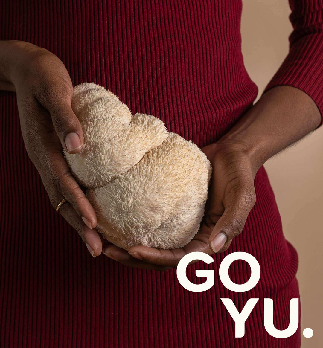 Cupplement Lion's Mane poeder extract of capsules