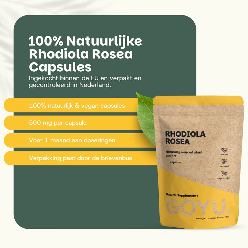 Rhodiola Rosea Capsules 500 mg