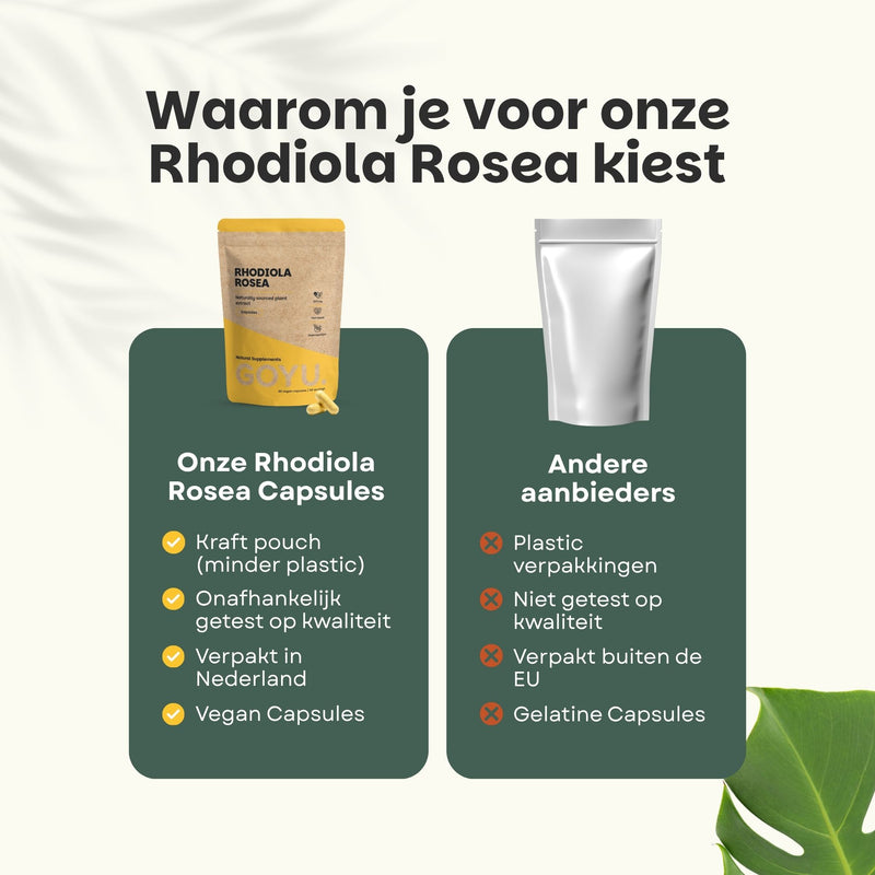 Rhodiola Rosea Capsules 500 mg