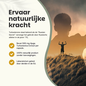 Turkesterone Capsules 500 mg