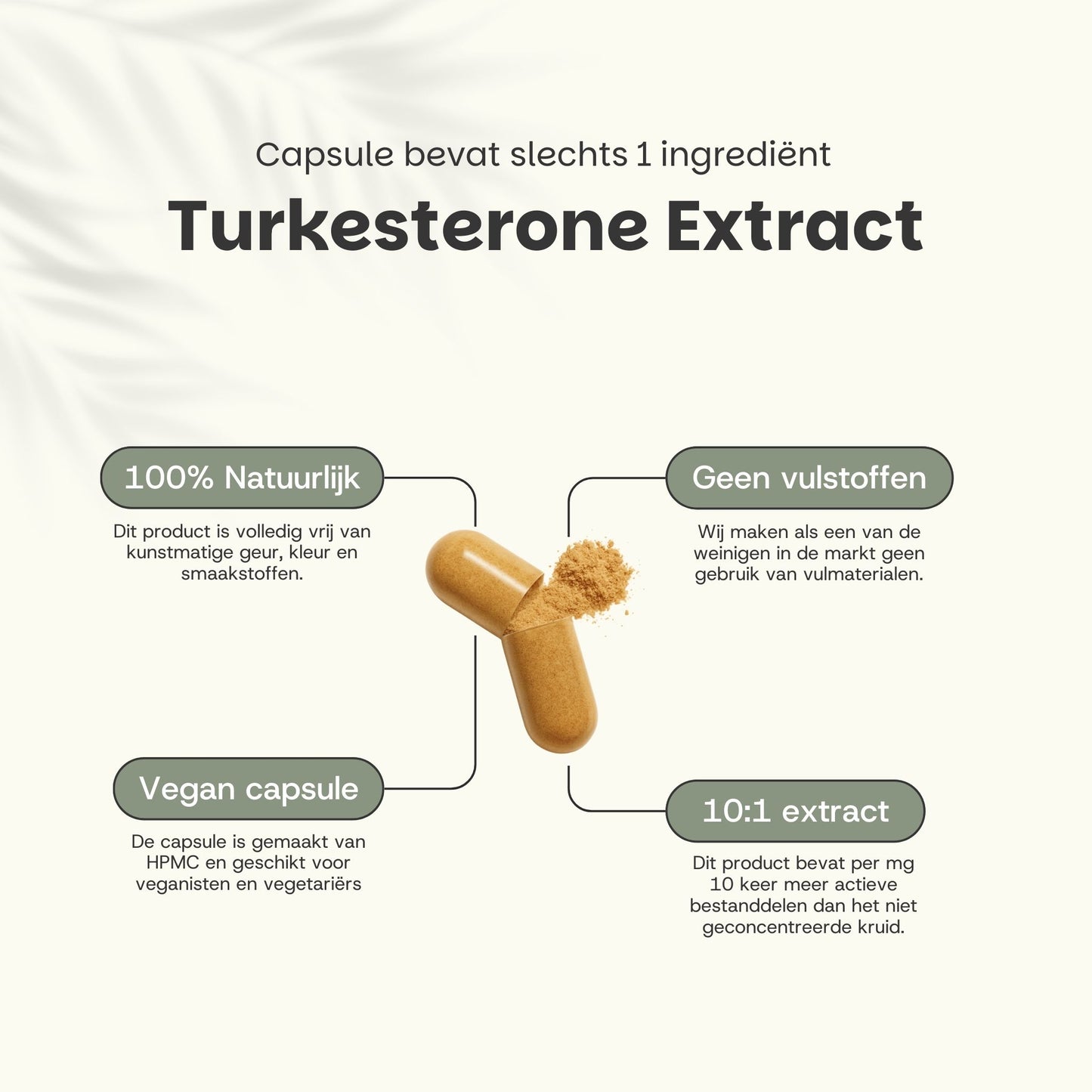 Turkesterone Capsules 500 mg