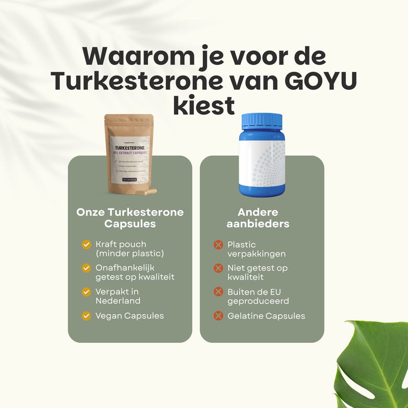 Turkesterone Capsules 500 mg