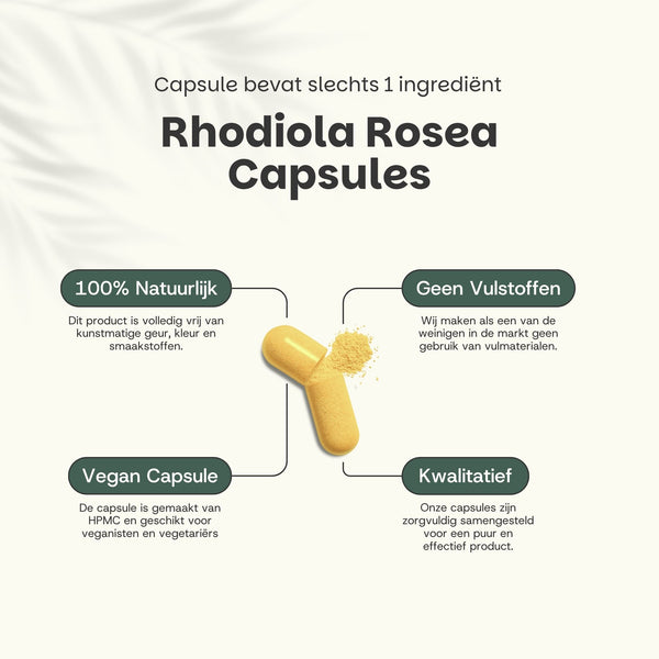 Rhodiola Rosea Capsules 500mg