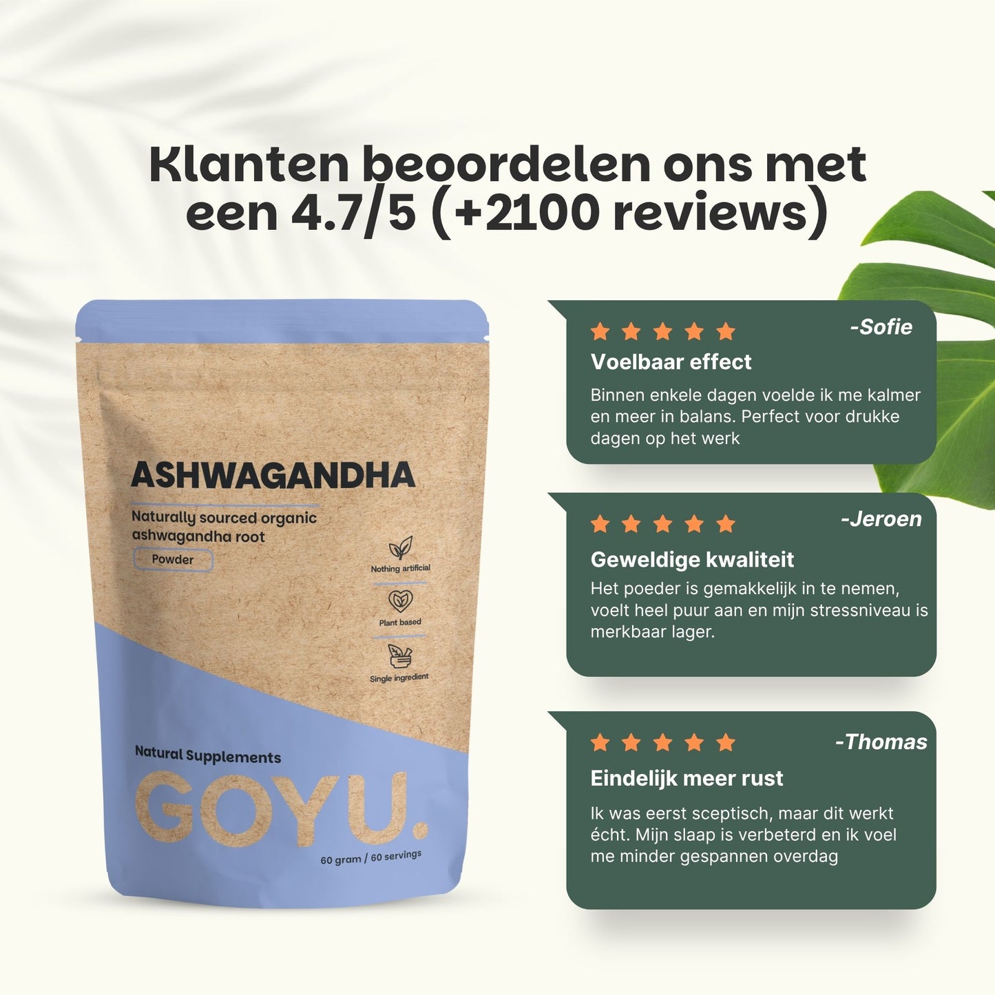 Ashwagandha Pulver Biologisch