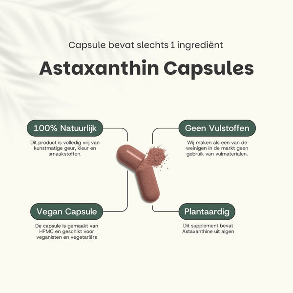 Astaxanthin Kapseln 8 mg