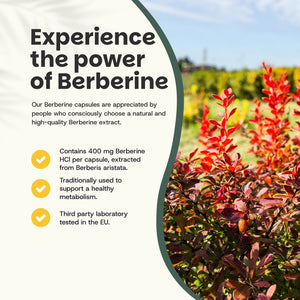 Berberine extract capsules goyu superfood supplement