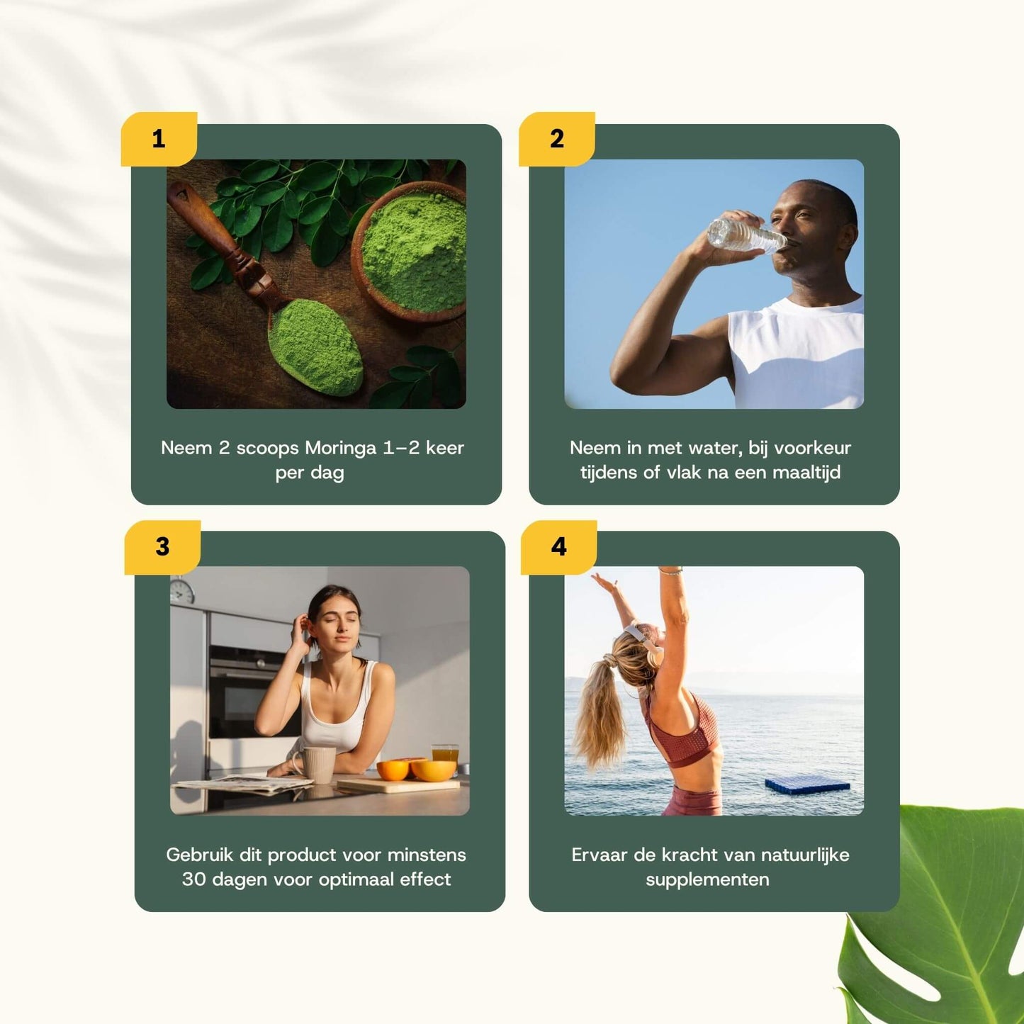 Biologisch Moringa poeder goyu supplement superfood