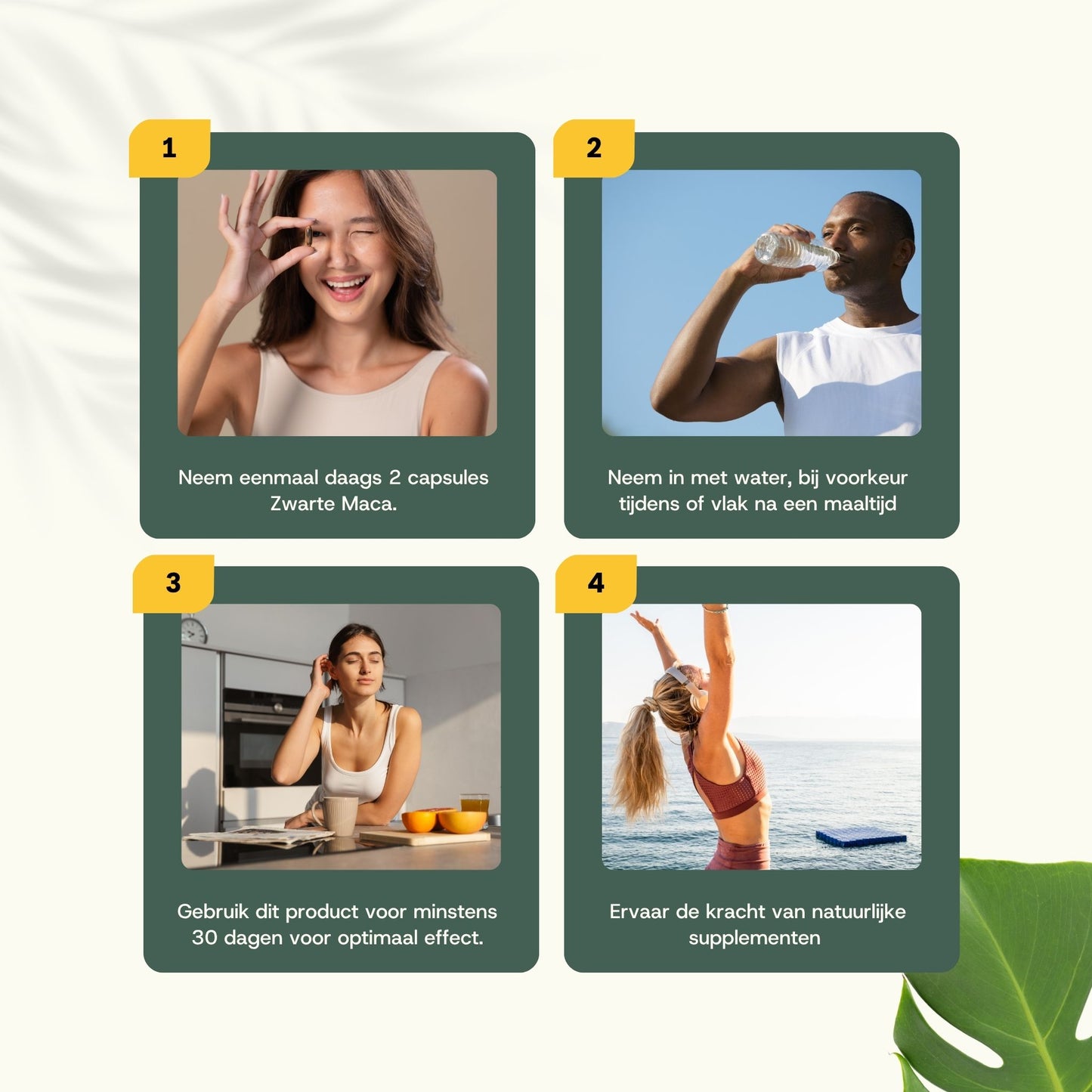 Biologisch Zwarte maca capsules goyu superfood supplement