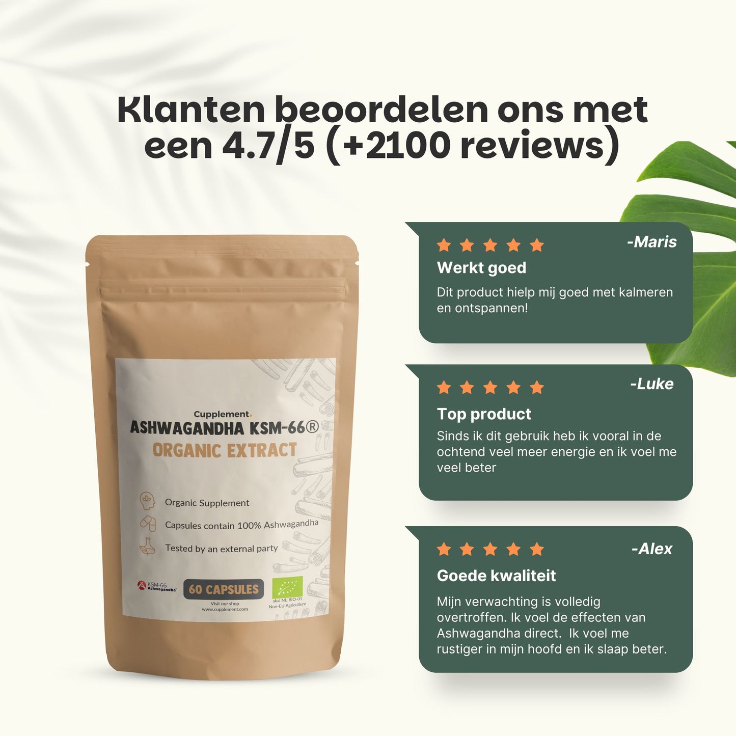 Biologische Ashwagandha KSM-66 extract capsules goyu superfood supplement