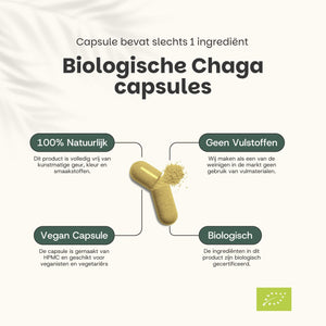 Biologische Chaga capsules goyu supplement superfood