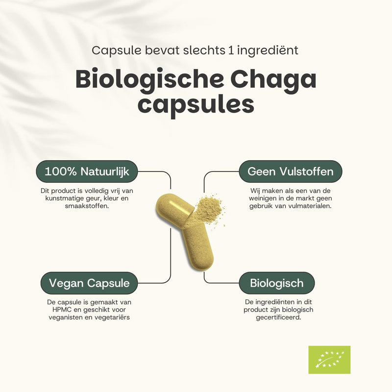Biologische Chaga capsules goyu supplement superfood