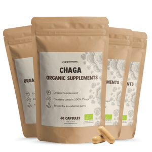 Biologische Chaga capsules goyu supplement superfood