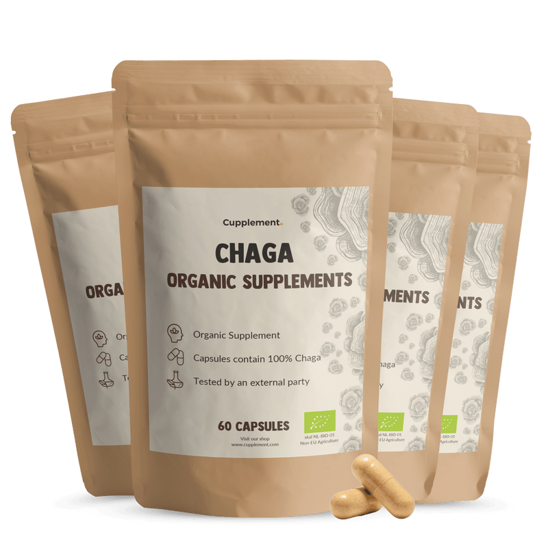 Biologische Chaga capsules goyu supplement superfood