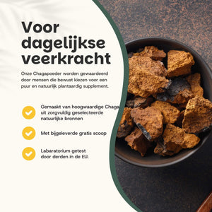Biologische Chaga poeder goyu supplement superfood
