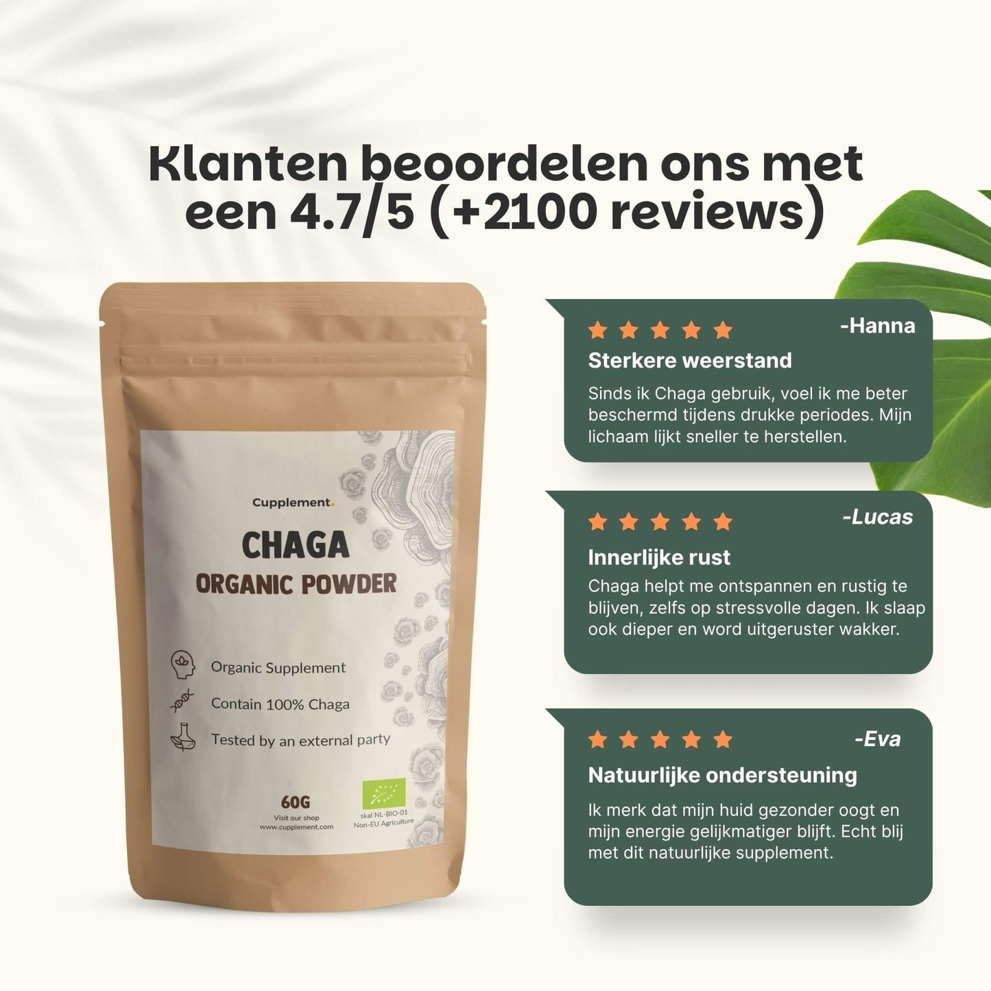 Biologische Chaga poeder goyu supplement superfood