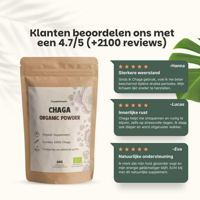 Biologische Chaga poeder goyu supplement superfood