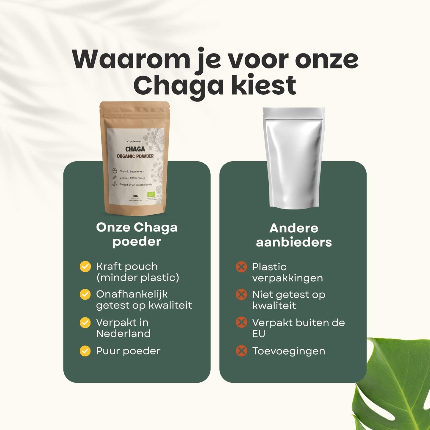 Biologische Chaga poeder goyu supplement superfood