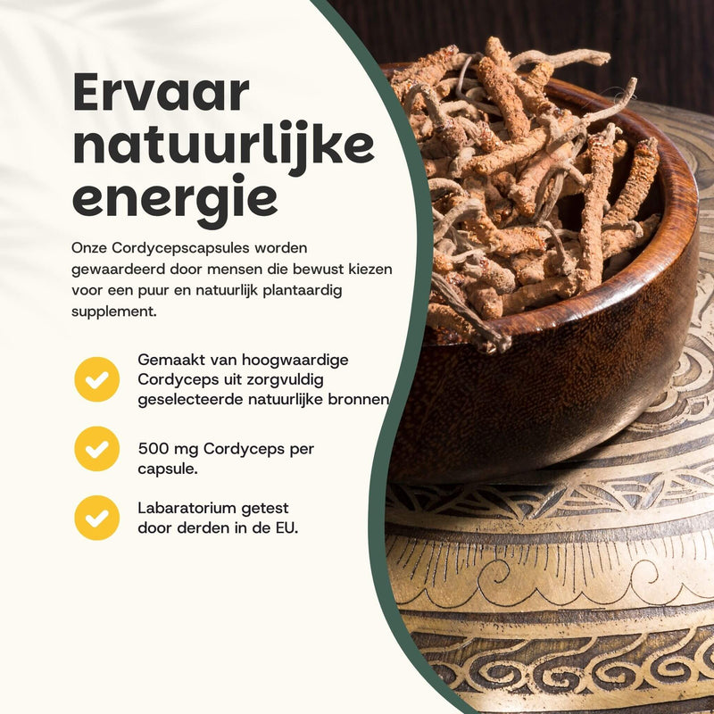 Biologische Cordyceps capsules goyu supplement superfood