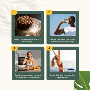 Biologische Cordyceps capsules goyu supplement superfood