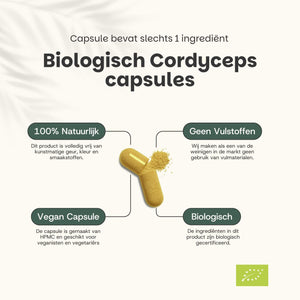 Biologische Cordyceps capsules goyu supplement superfood