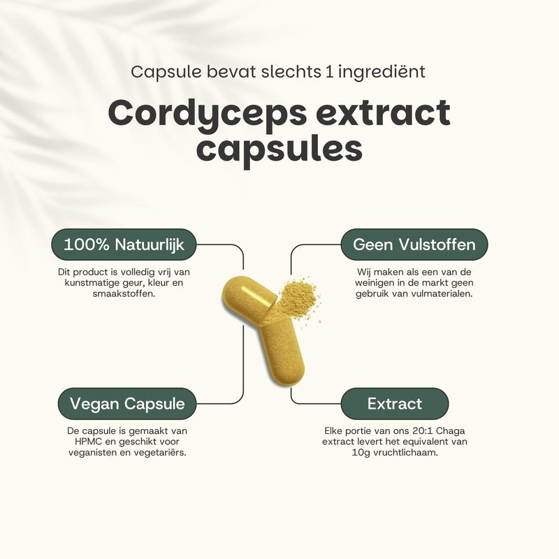 Biologische Cordyceps extract capsules goyu supplement superfood