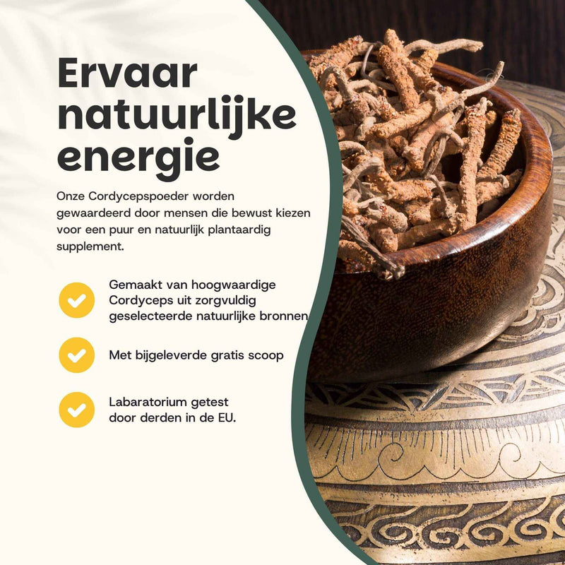 Cordyceps Poeder Biologisch