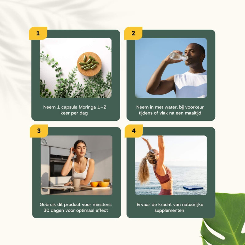 Biologische Moringa capsules goyu superfood supplement