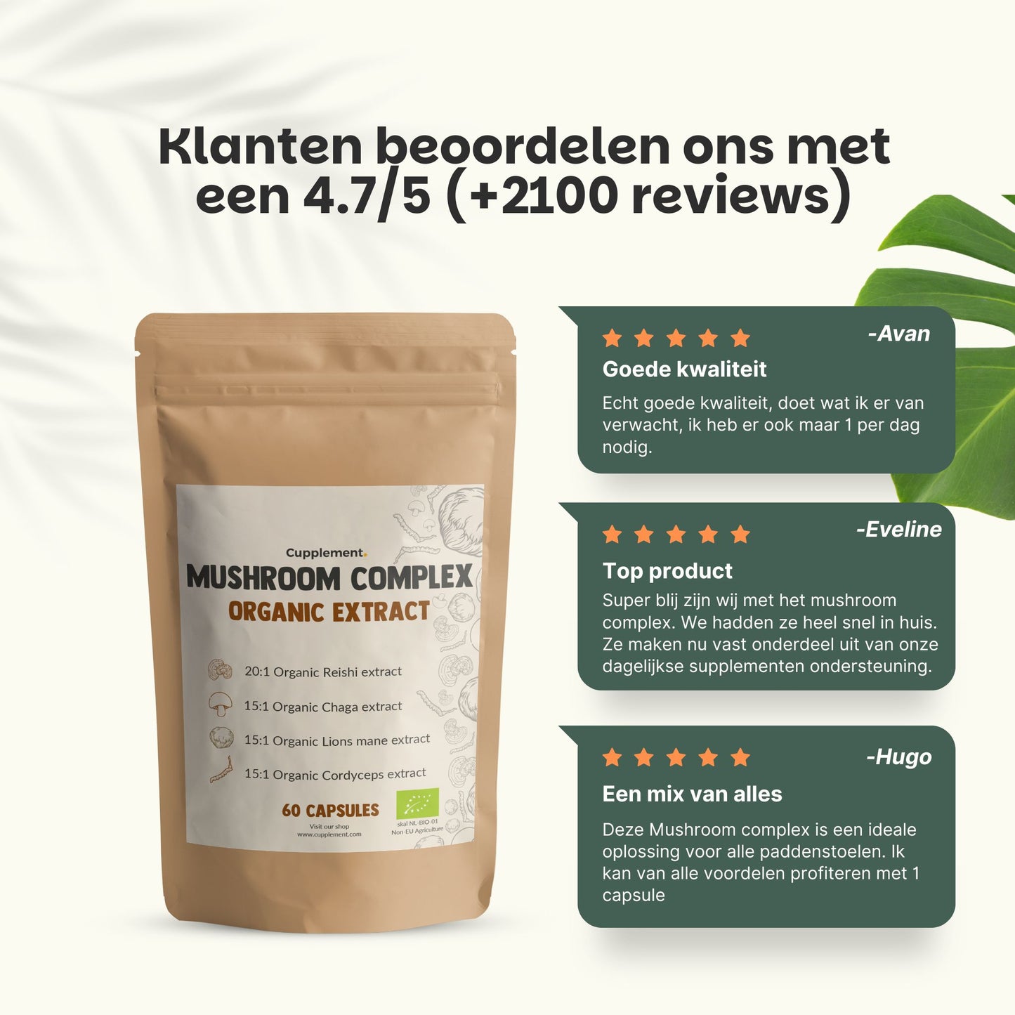 Biologische Paddenstoel complex extract capsules goyu superfood supplement