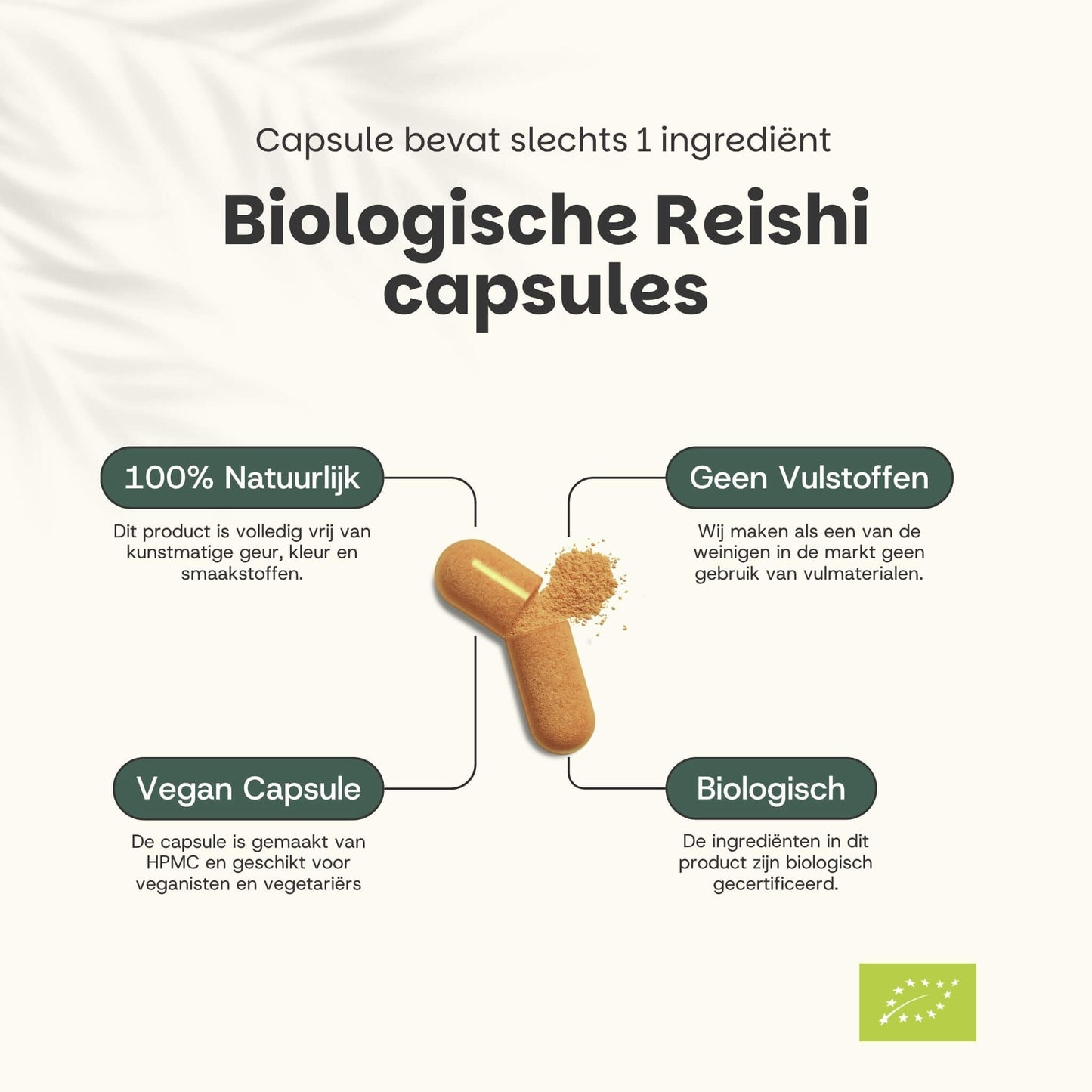 Biologische Reishi capsules goyu supplement superfood