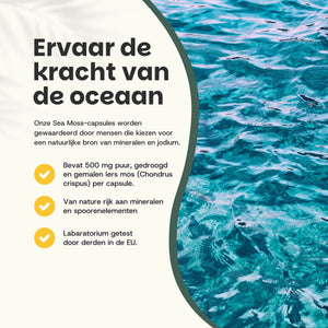 Biologische Sea Moss capsules goyu superfood supplement