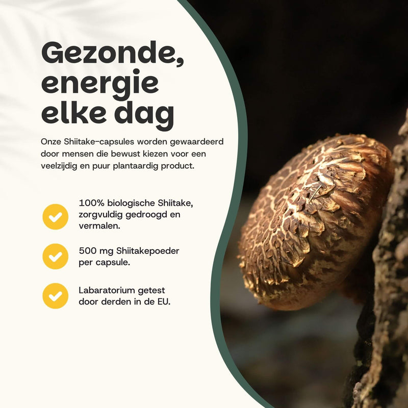 Biologische Shiitake capsules goyu supplement superfood