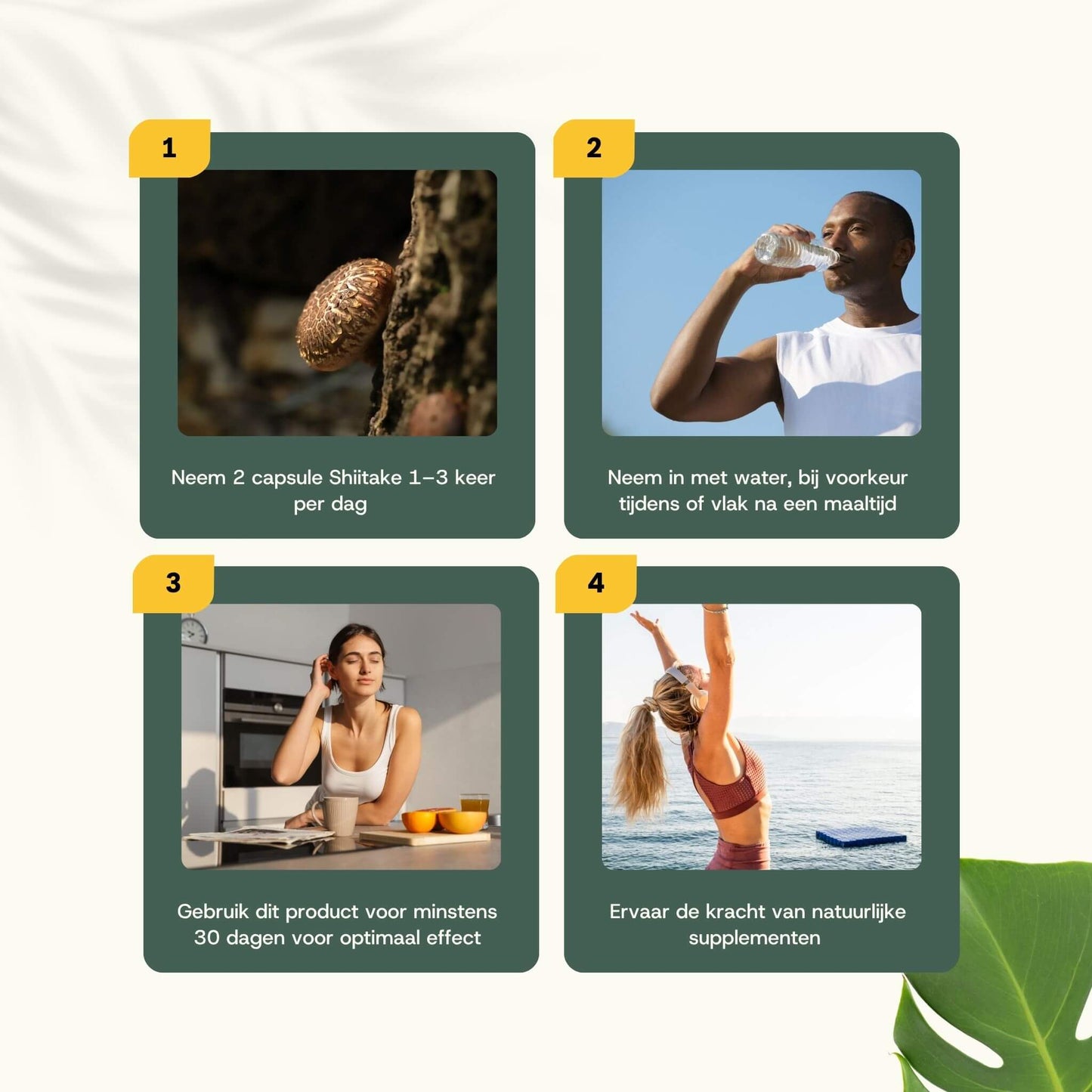 Biologische Shiitake capsules goyu supplement superfood