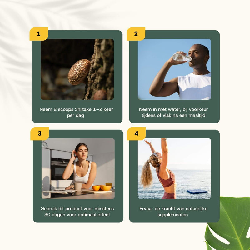 Biologische Shiitake poeder goyu supplement superfood