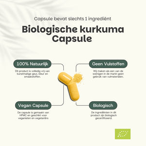 Kurkuma Capsules 600 mg Biologisch