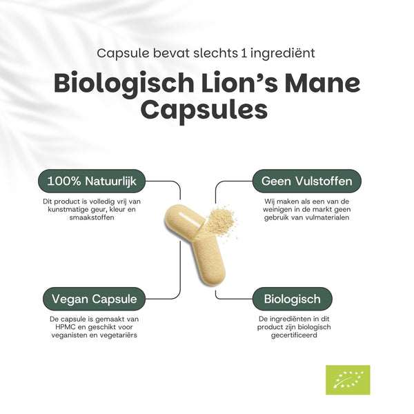 Lion's Mane Capsules 500 mg Biologisch